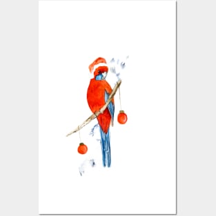 Crimson Rosella in a Santa Hat - Watercolour Posters and Art